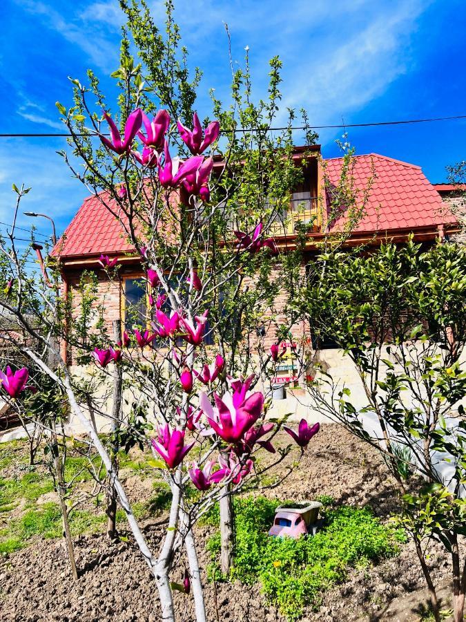 Sunshine House Vila Kʼutʼaisi Exterior foto