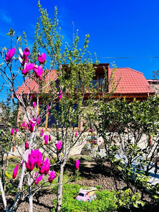 Sunshine House Vila Kʼutʼaisi Exterior foto