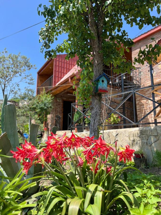 Sunshine House Vila Kʼutʼaisi Exterior foto