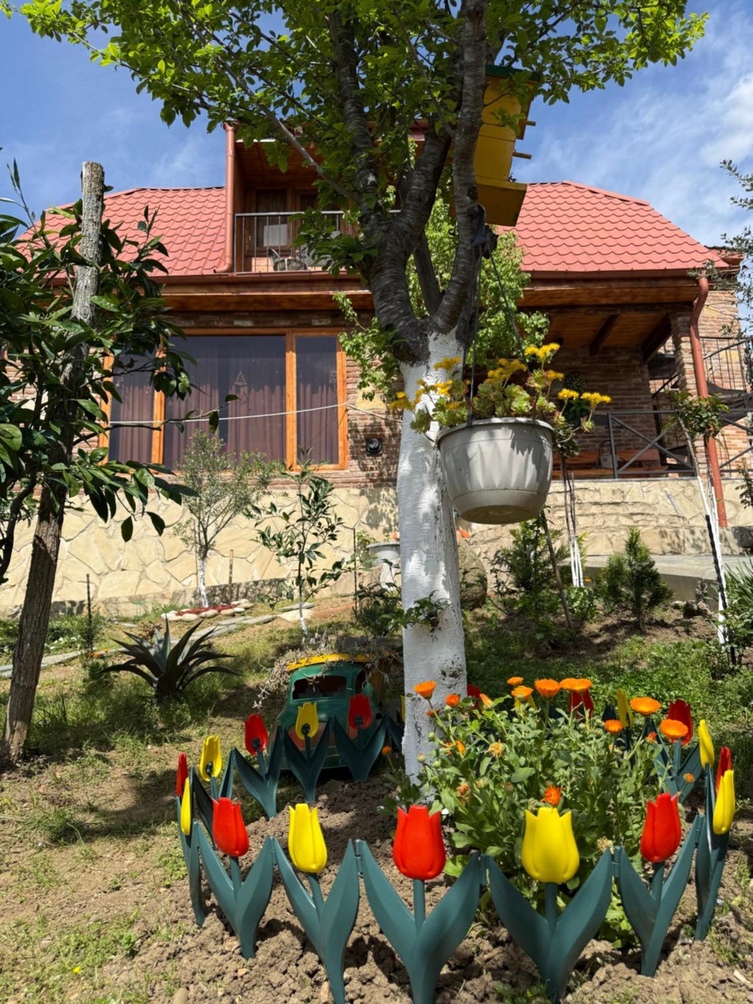 Sunshine House Vila Kʼutʼaisi Exterior foto